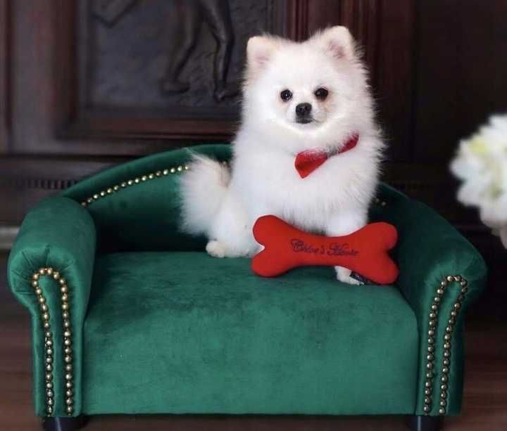 Kanapa sofa posłanie welurowe dla psa kota 100 kolorów