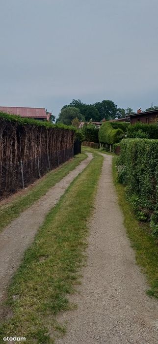Domek nad morzem REZERWACJA