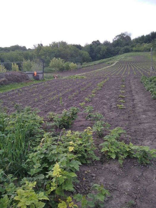 Продам будинок в селі Мілова