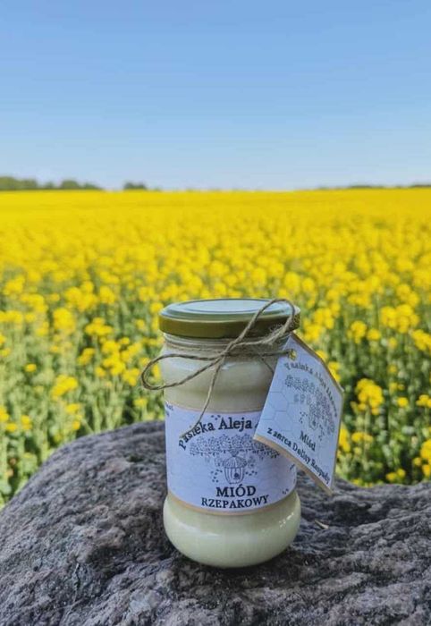 Miód rzepakowy lub rzepakowo-mniszkowy 400g  z serca Rospudy
