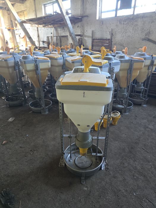 Automaty paszowe