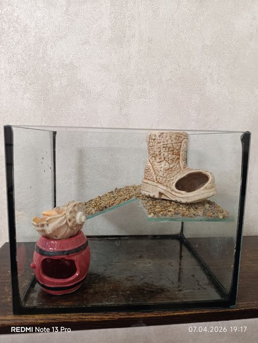 Акваріум для черепах