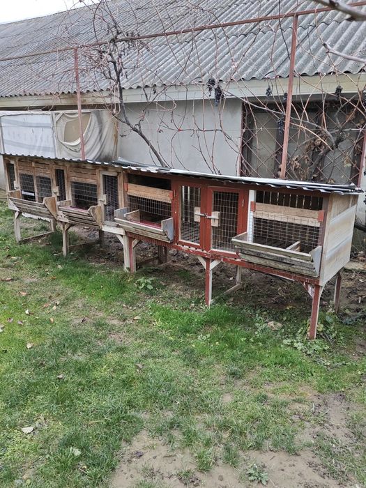 Клітки для кролів