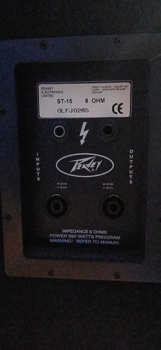 Coluna de Som Peavey ST-15 Passiva