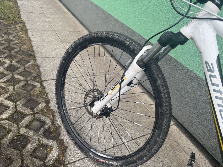 Author Dexster 29er 19