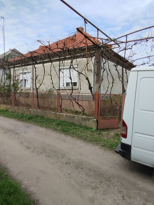 Продам. Будинок в центрі Олешника