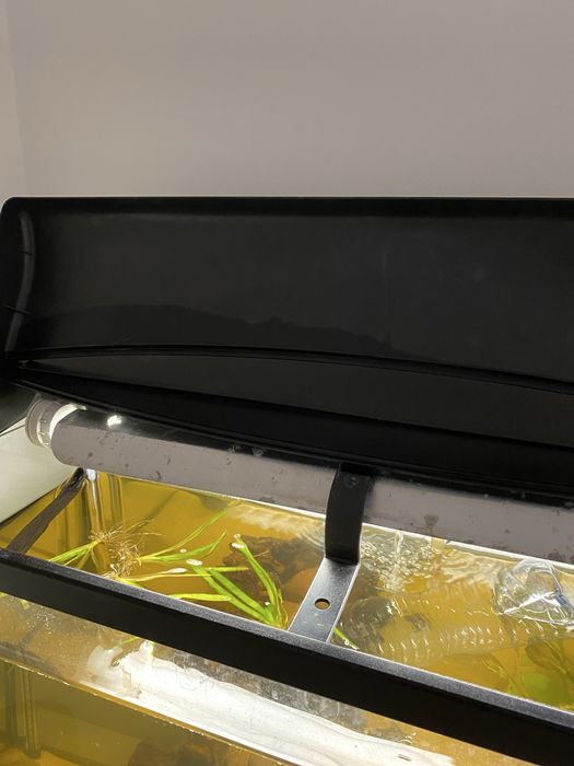aquario 100L 80cm