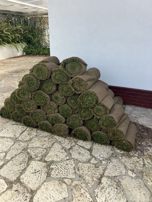 relva natural em tapete