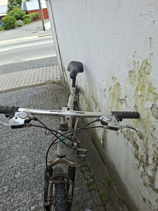 Bicicleta de montanha