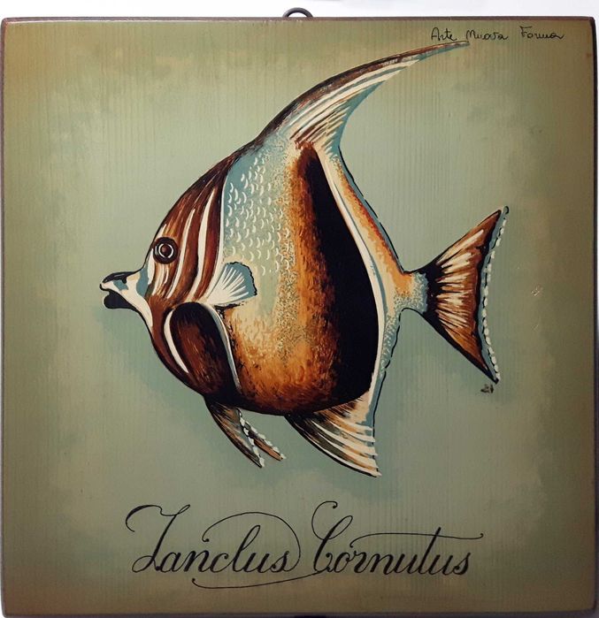 Coleção de Quadros de Peixes