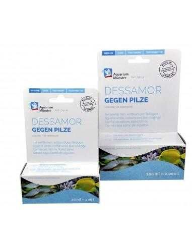 Dessamor GeGren Pilze