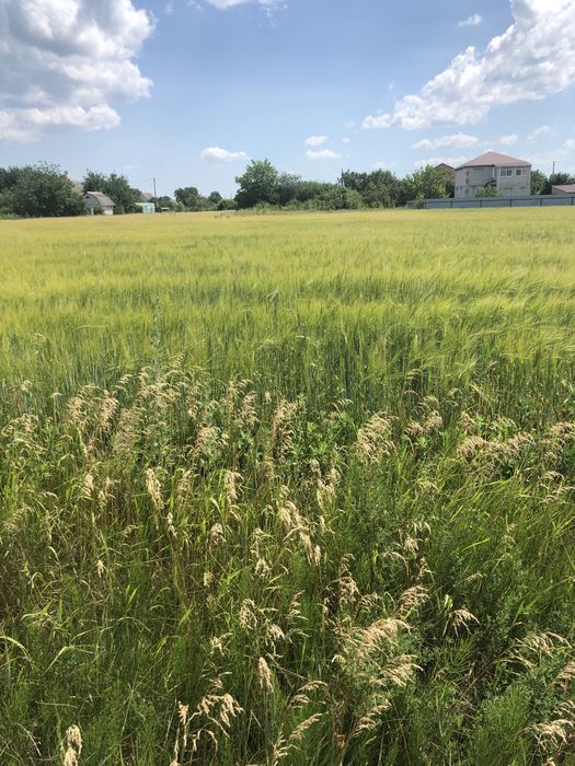 Ділянка під забудову село Рогозів
