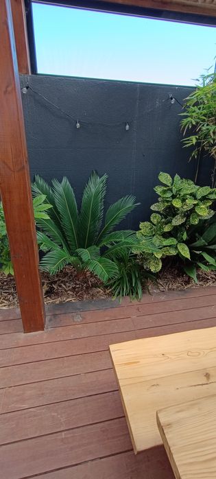 TerraFlor agora é 4 em 1, Jardim, construção e limpeza a partir 12€