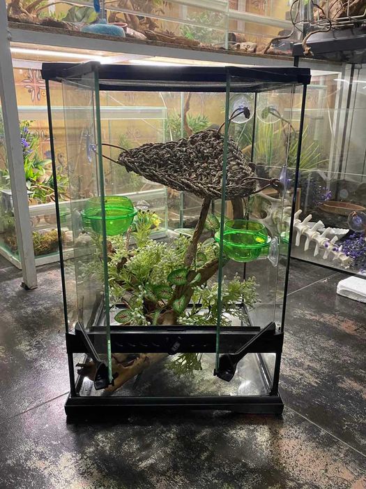 Тераріум скляний для рептилій (різні)
