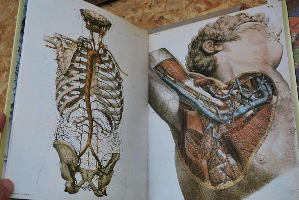 ENCICLOPÉDIA - Grandes Inigmas do Homem