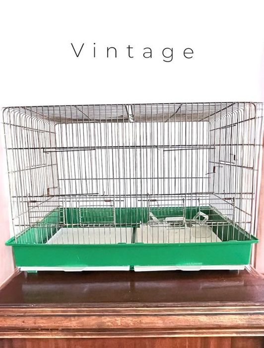 Viveiro para Reabilitação de Animais de Pequeno Porte ou Aves Vintage