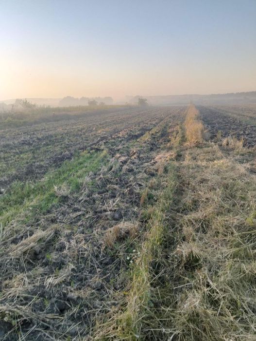 Продам будинок с.Коршів, з земельною ділянкою 25 сот