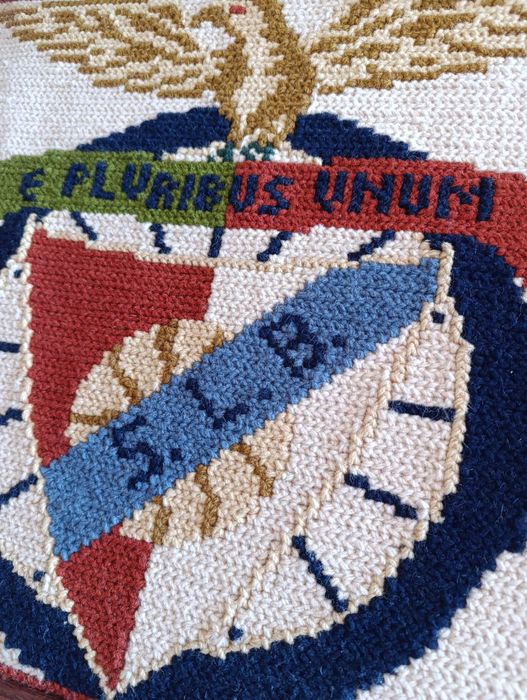 Quadro Benfica em arraiolos
