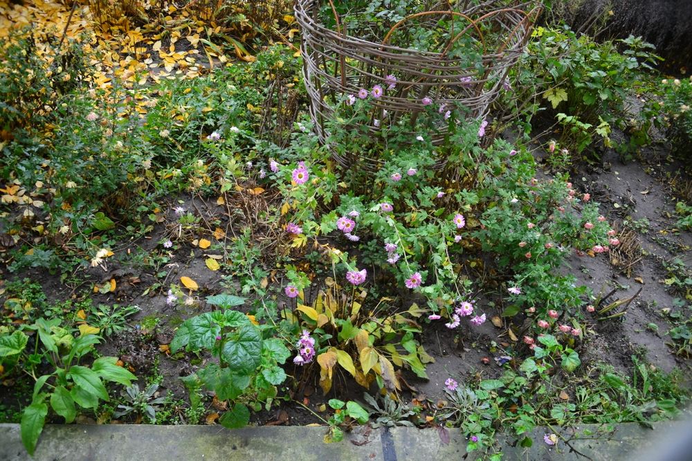 Объектив Nikon 28 -200мм  f/3,5-5,6 D