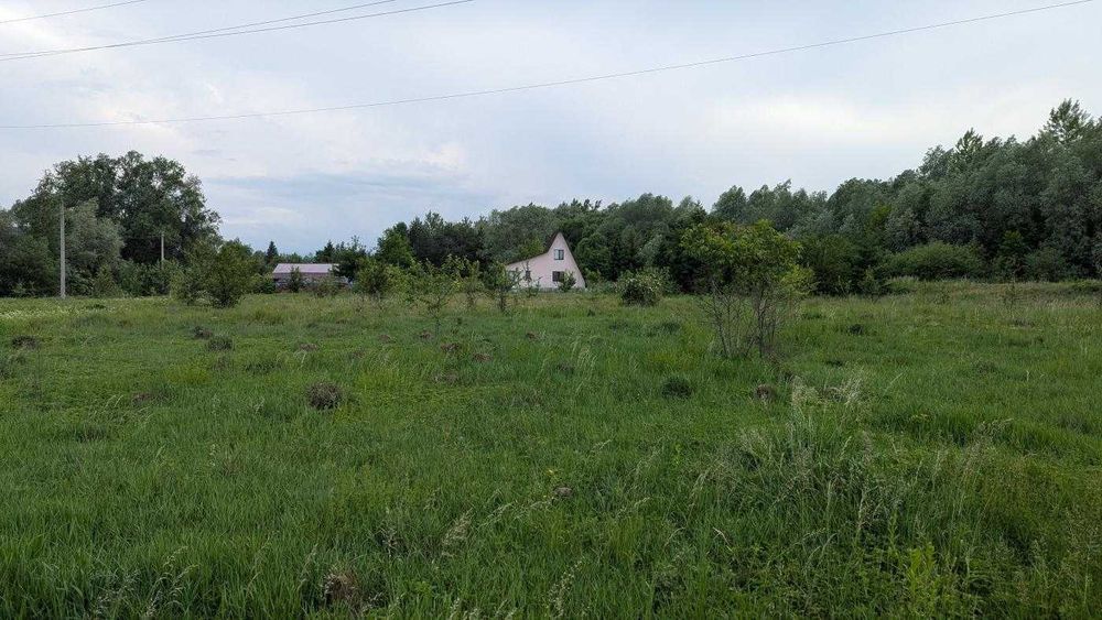 Продається ділянка 25 сот під будівництво в с. Скобичівка (12)