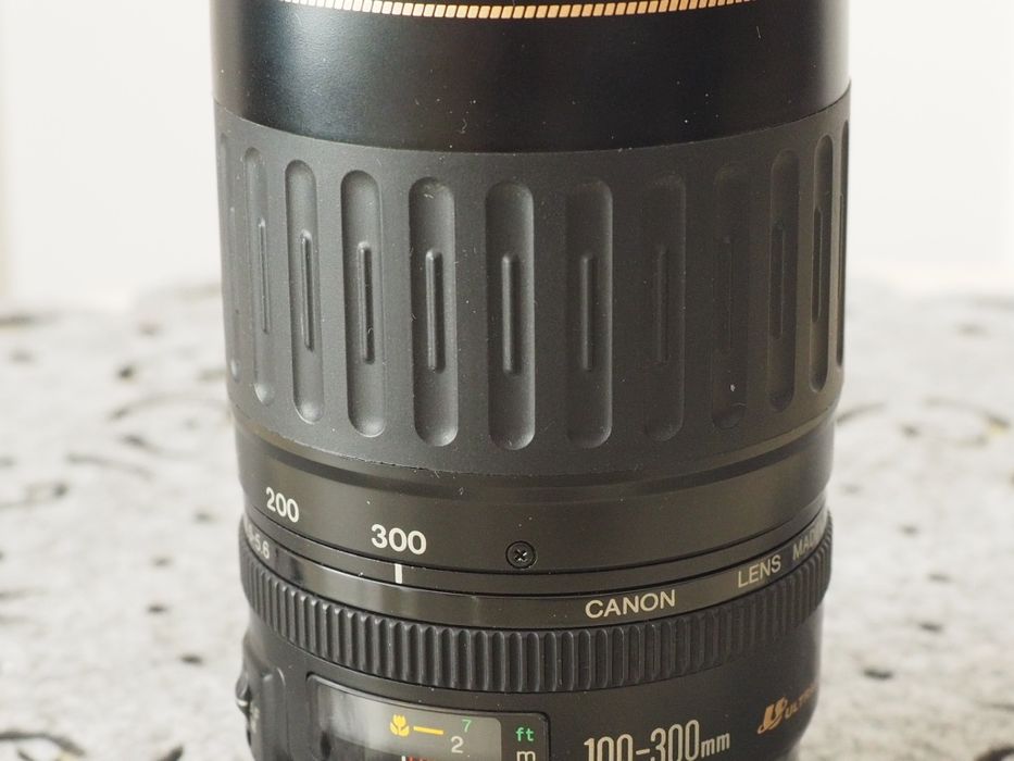 Canon EF 100-300 mm f/4.5-5.6 USM