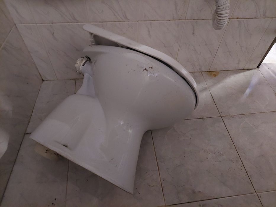 Sanita e lavatório de wc