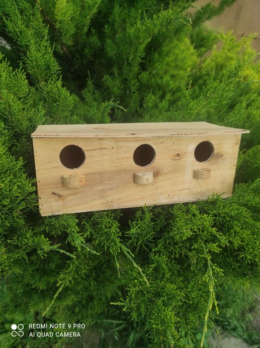 Дуплянка для горлбців