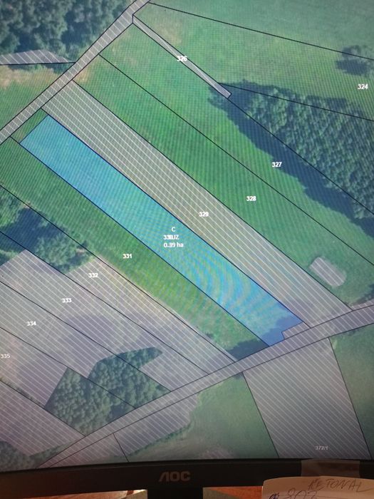 Łąka przy lesie między Boszkowem a Buczem - Widok 2