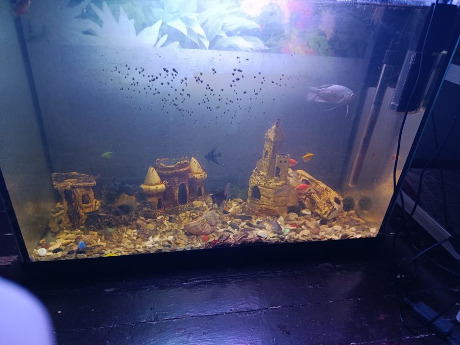 Продам аквариум на 200 литров