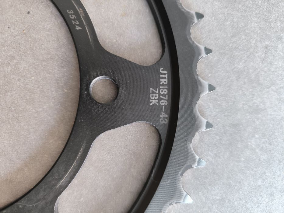 Carmalheira 43 dentes