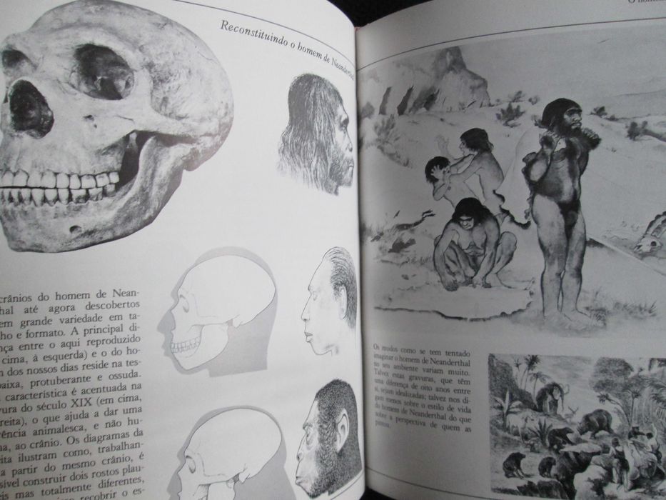 A Origem do Homem | História Ilustrada do Mundo, de J. M. Roberts