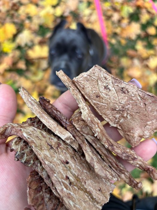 Легкие сухие говяжьи засушенные легкие лакомства для собак из говядины