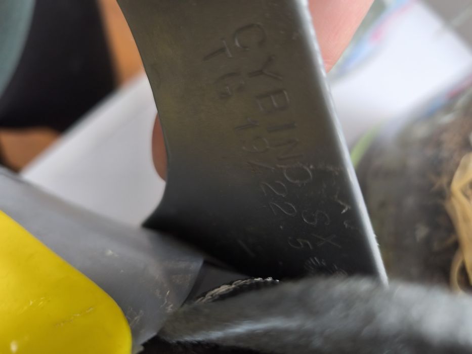 Buty na narty dla dziecka Head