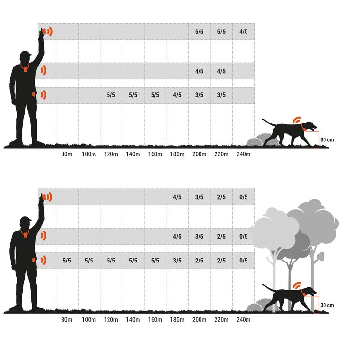 COLEIRA + TELECOMANDO DE ADESTRAMENTO DE CÃO DE CAÇA NUM'AXES CANICOM