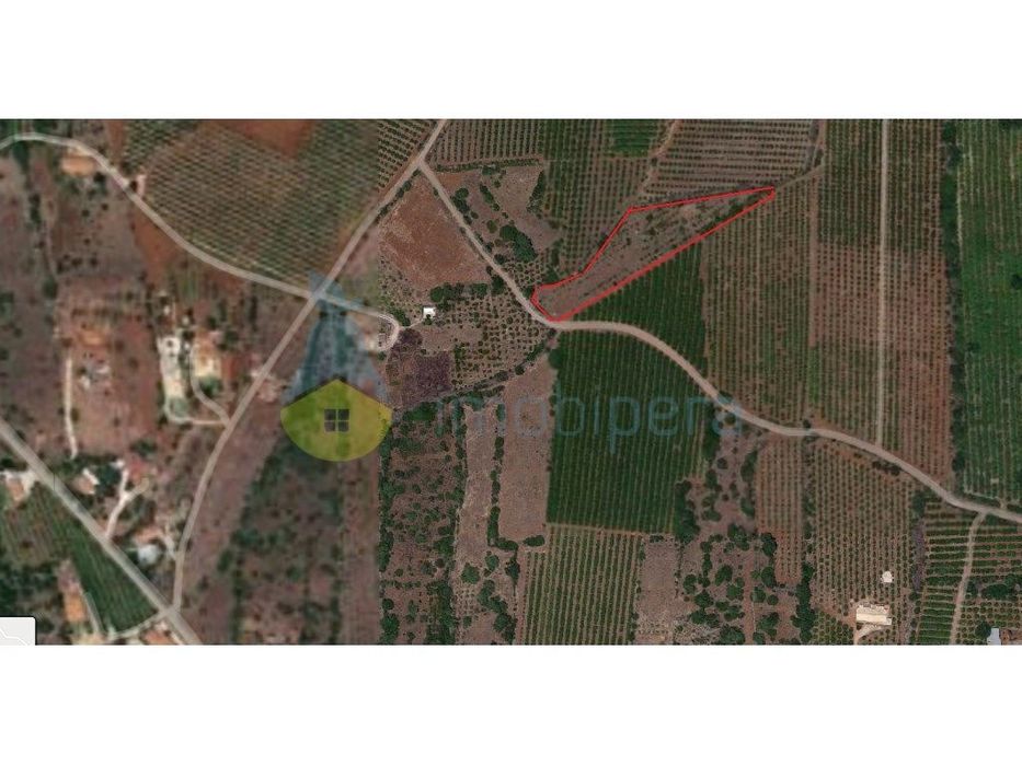 Ribeira Alta - Algoz, Terreno C/ Electricidade -5.400m2 — Algoz E Tunes, Faro