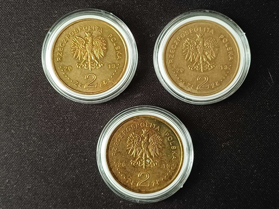 Monety okolicznościowe 2 zł - 2013 rok - 13 z 14 wydanych