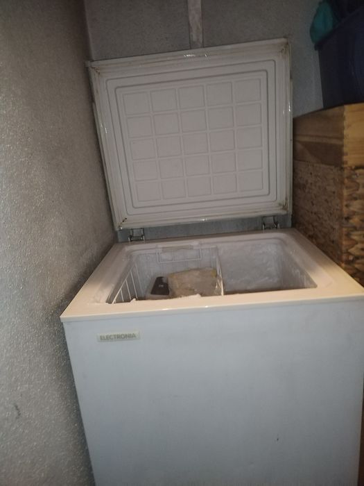 Arca congeladora Electronia