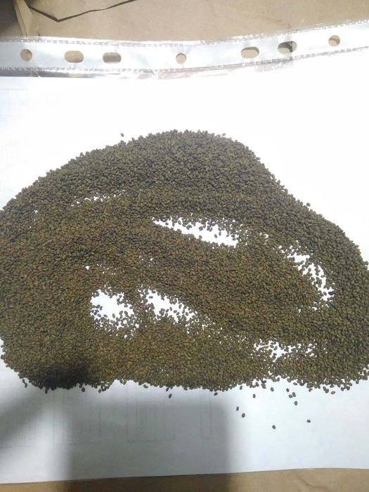 Насіння люцерни висока якість!