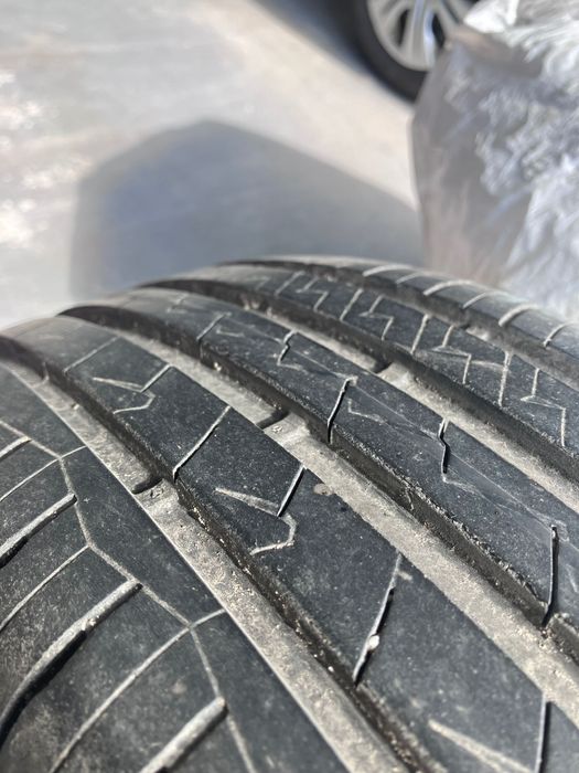 Opony letnie Dębica