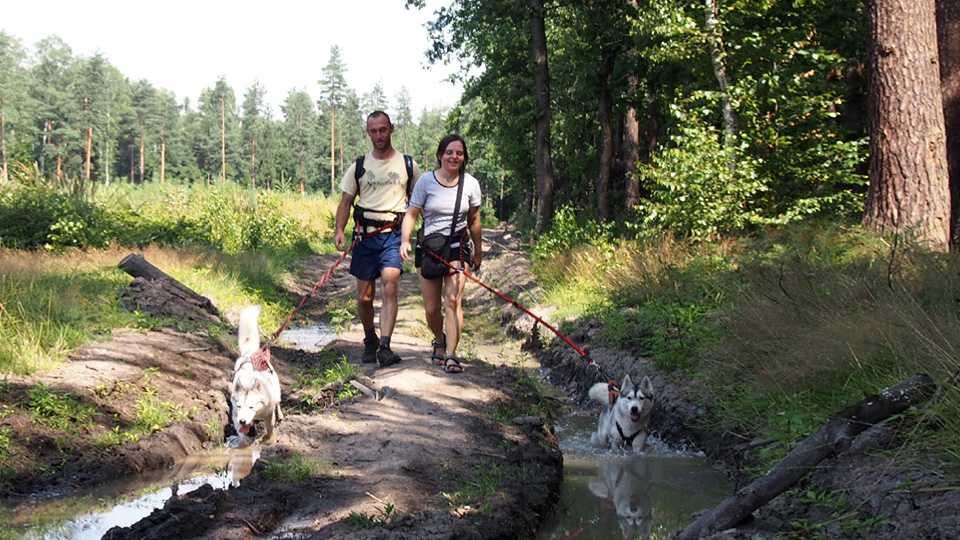 HIFICA LITE TREK PA - Pas Biodrowy Dogtrekking Trucht z Psem