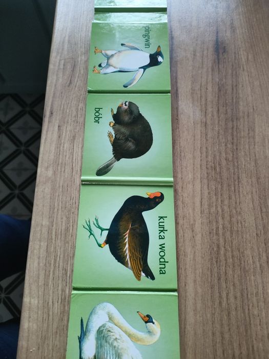Książeczki z obrazkami zwierzęta