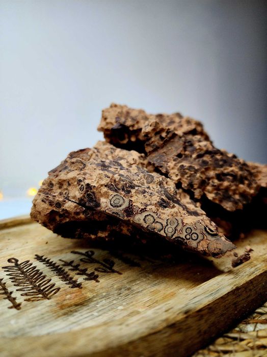 Какао терте 100% сорт Criollo  ,без цукру .Гіркий шоколад