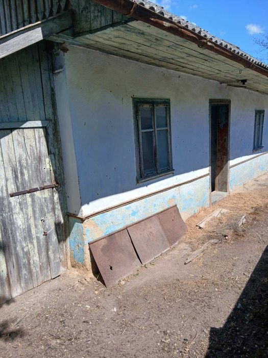 Продам господарство