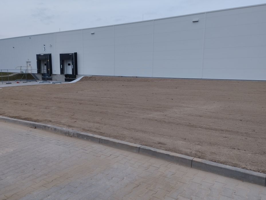 Maszynowe sianie trawy