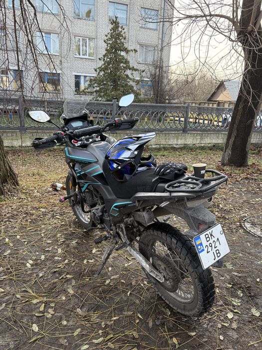 mustang challenge 250 2024р