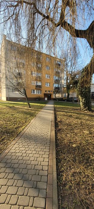 Zdjęcie 6