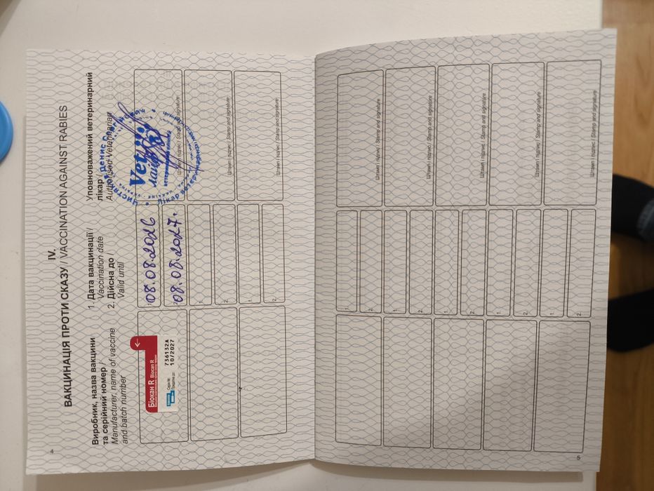 Продам пуєделя міні