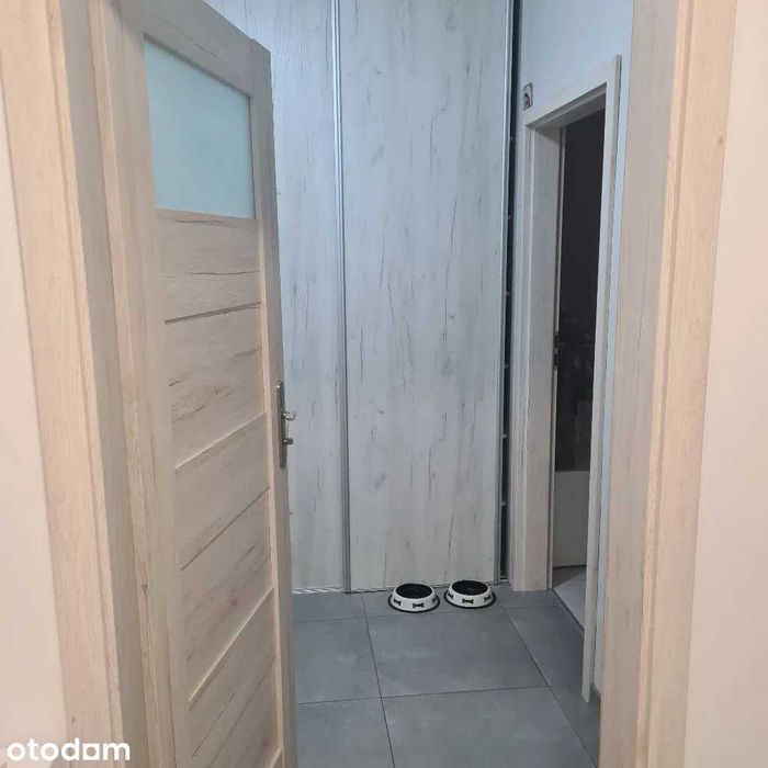 mieszkanie na wynajem 45 m² miejsce garazowe w cenie - Widok 5