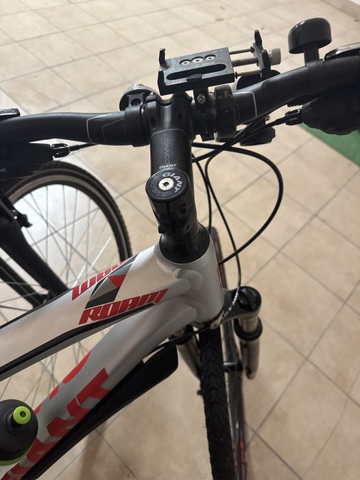Rower Giant Roam L