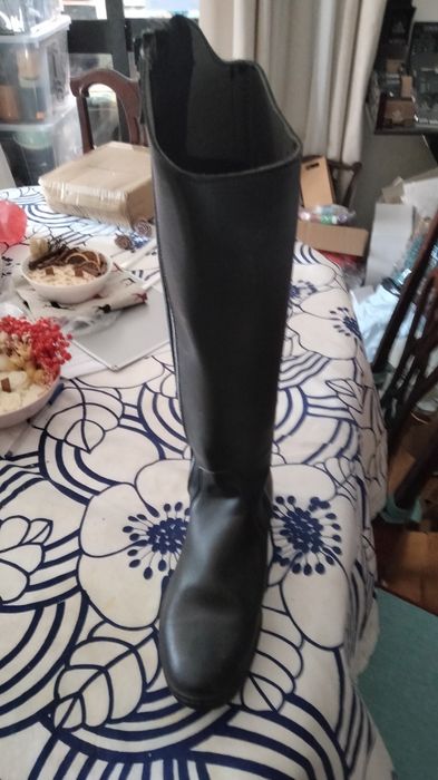 Conjunto para equitação